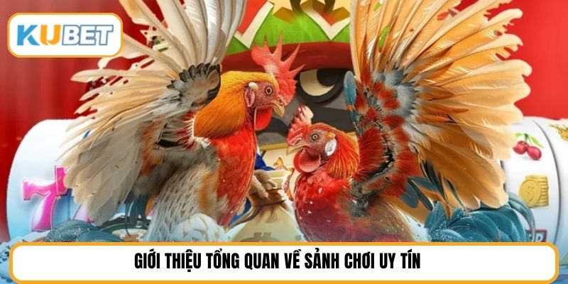 Giới thiệu tổng quan về sảnh chơi uy tín