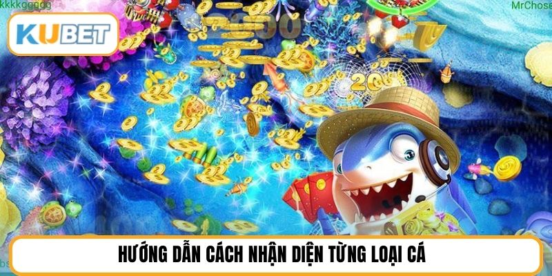 Hướng dẫn cách nhận diện từng loại cá