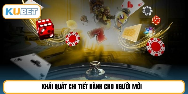 Khái quát chi tiết dành cho người mới 