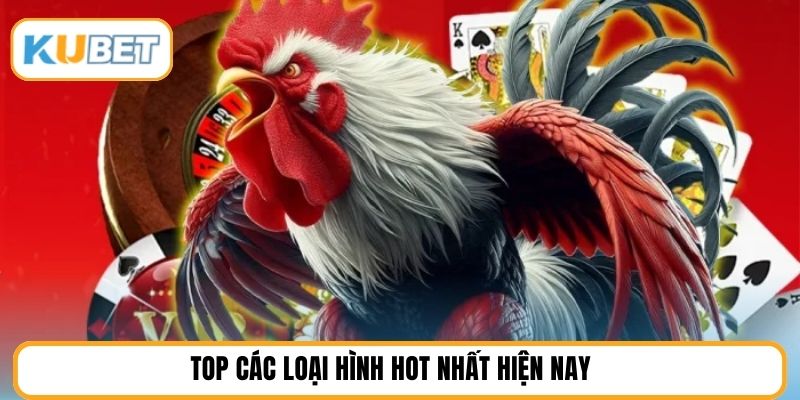 Top các loại hình hot nhất hiện nay